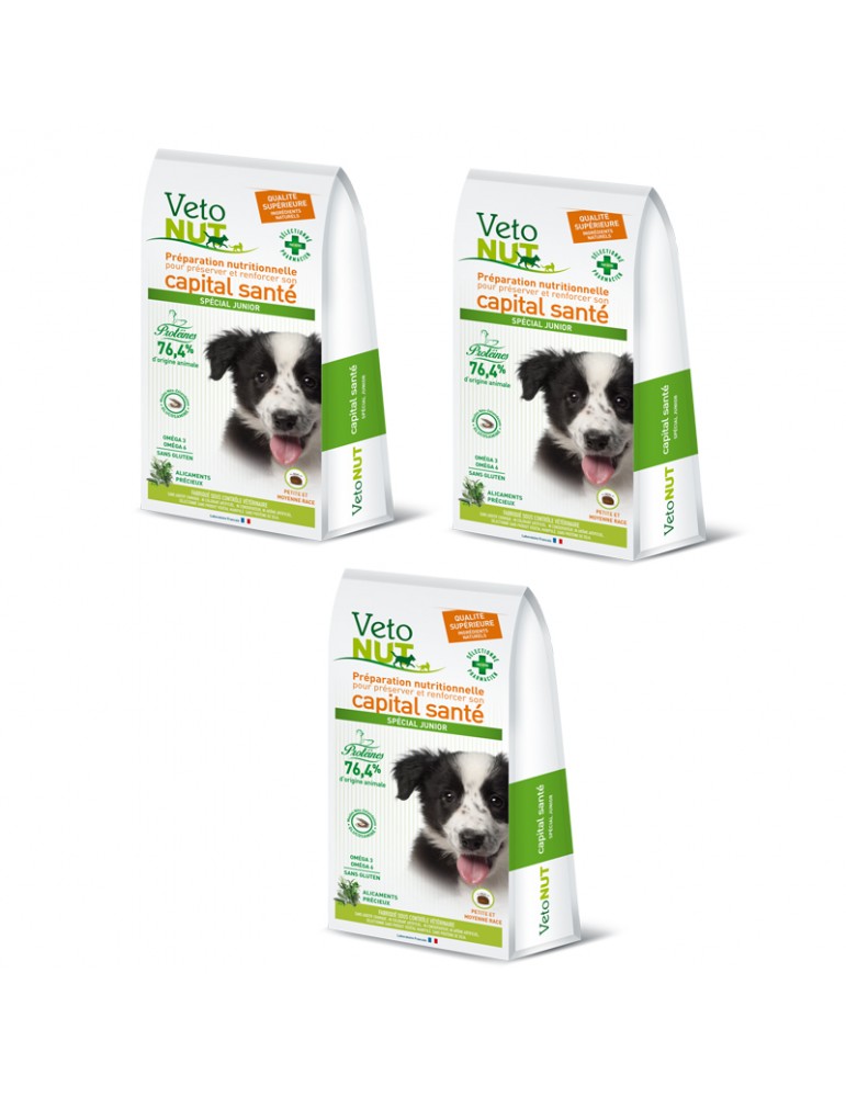 VetoNut Chien Special Junior Lot de 3