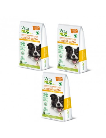 VetoNut Chien Special Senior Lot de 3