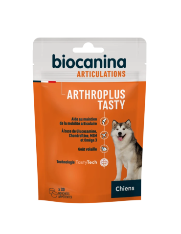Sachet arthroplys tasty chien