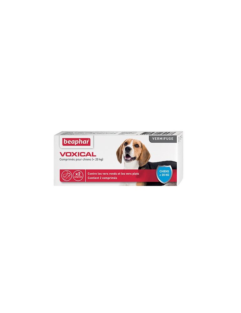 Vermifuge chien : Tout savoir pour mieux prendre soin de votre loulou –  happy waf