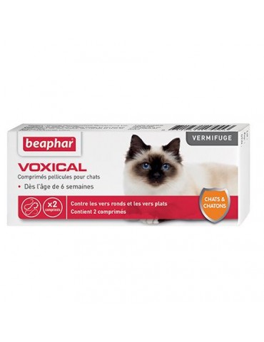 Voxical vermifuge Chat et Chaton