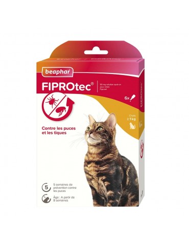 Boîte de 6 pipettes fiprotec chat