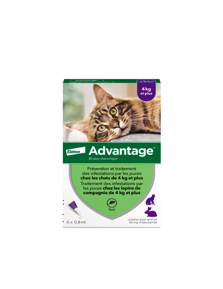 Boîte de 6 pipettes Elanco Advantage Pour Chats et Lapins de + de 4 kg