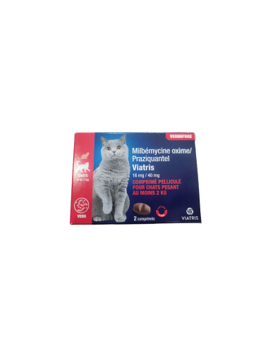 Boîte de Milbémycine Oxime Praziquantel 16 mg / 40 mg Chats viatris