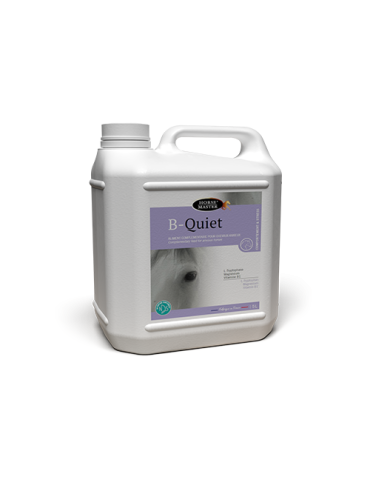 Bidon de 5L de B quiet