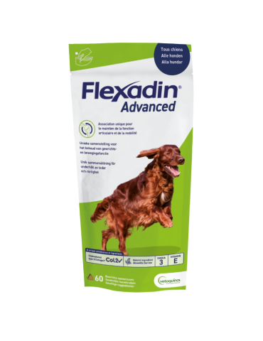 Sachet de Flexadin Advanced Chew Original 60 Bouchées
