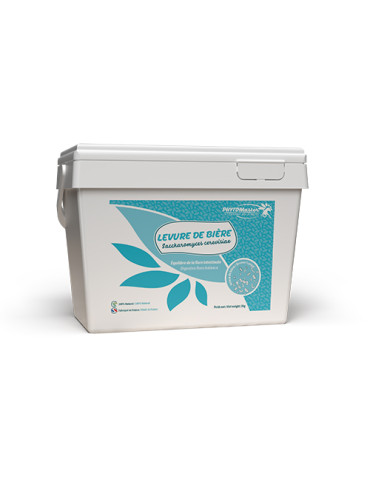 Levure de bière pour cheval complément naturel digestion flore intestinale vitamines B protéines