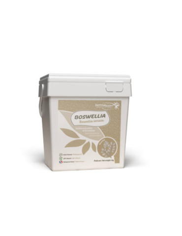 Seau Boswellia Serrata Phytomaster de 1 kg