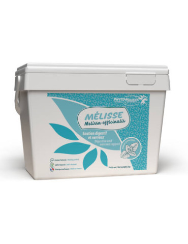 Seau de mélisse 1 kg PhytoMaster