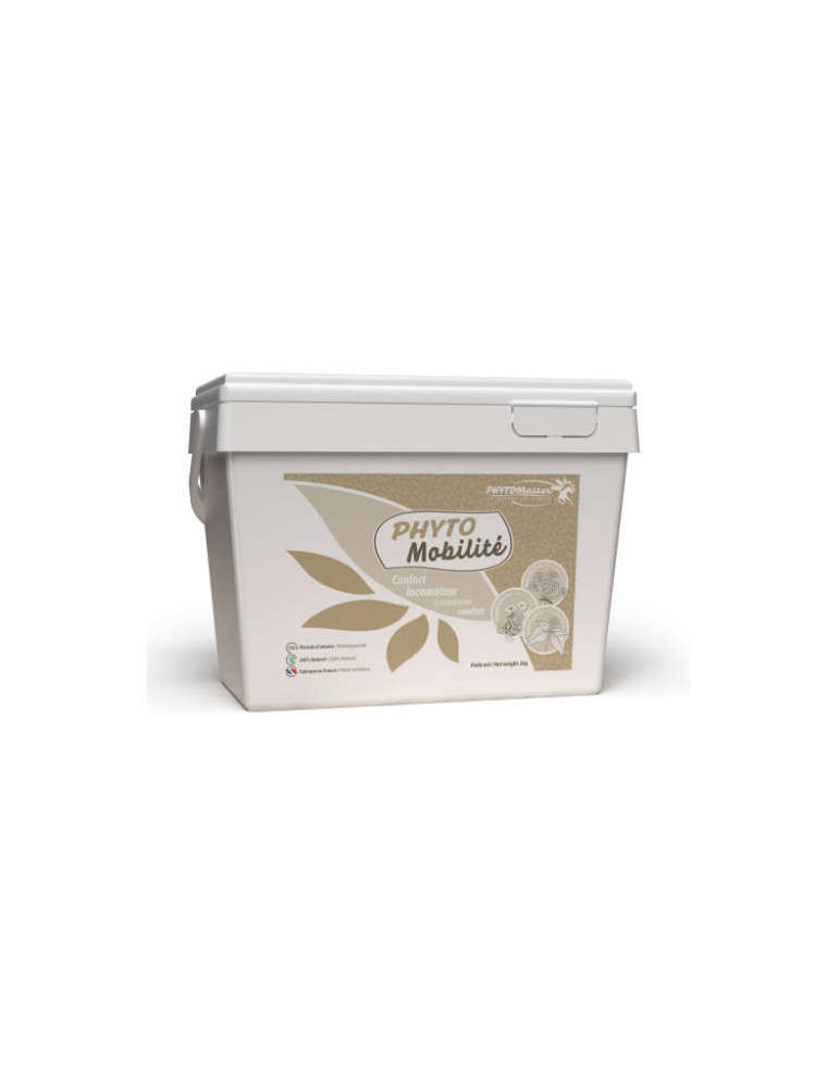 Seau phyto master de 1 kg de Phyto Mobilité