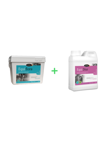 Pack Detox L Equi Diur 5L +...