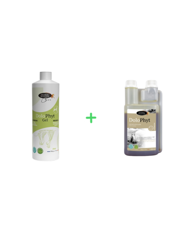 Pack Flex M Dolophyt 900 ml...