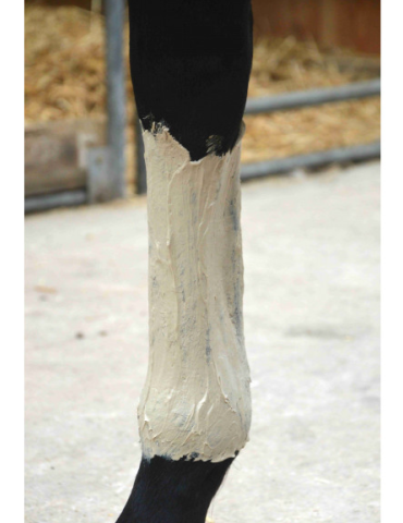 argile posé sur la jambe d'un cheval