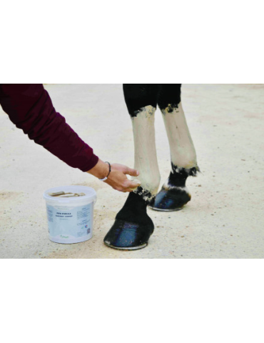 Application d'une pâte d'argile Fraîcheur & Confort sur un cheval