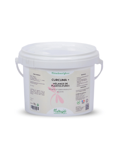 seau curcuma+ nutrargile