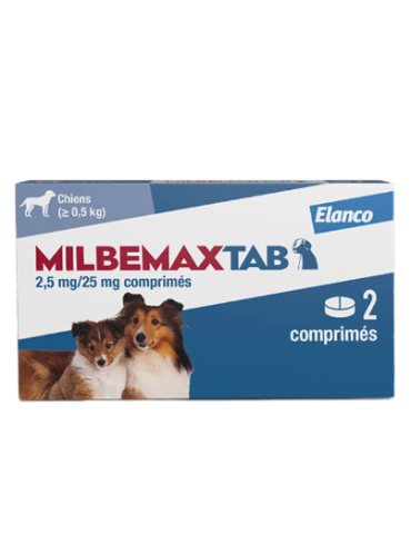 Milbemax petit chiens