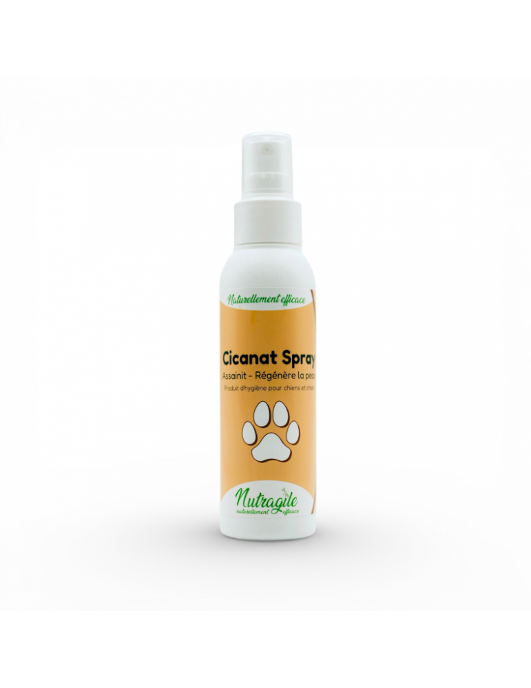 Spray cicanat chien & chat