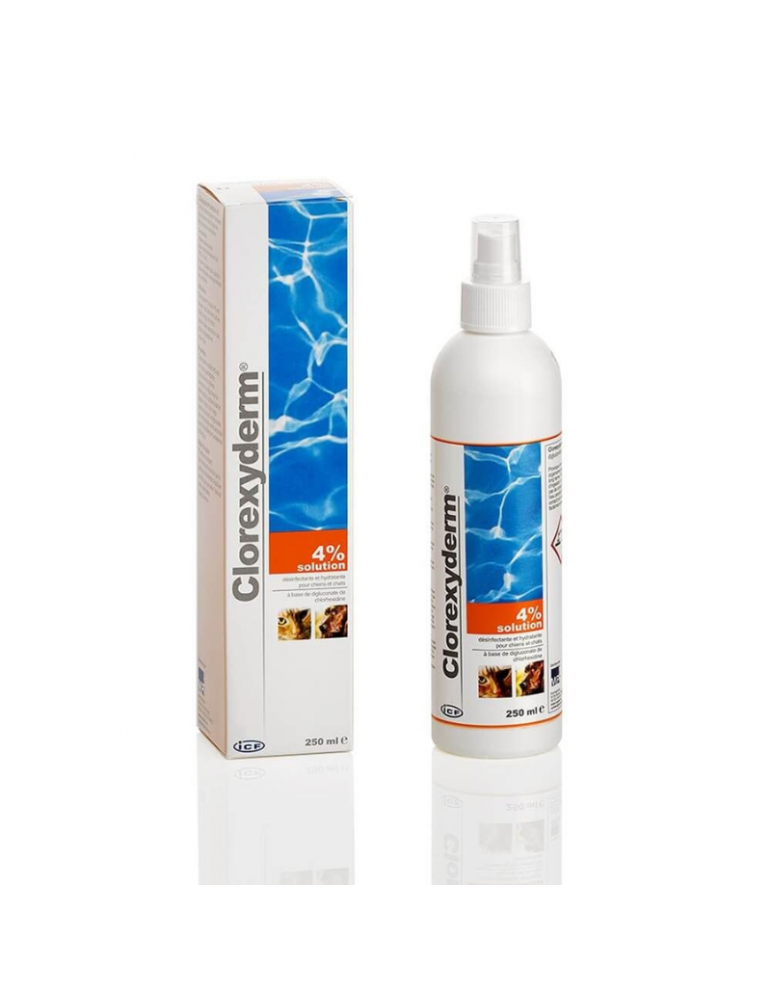Boîte et spray de solution Clorexyderm 4%