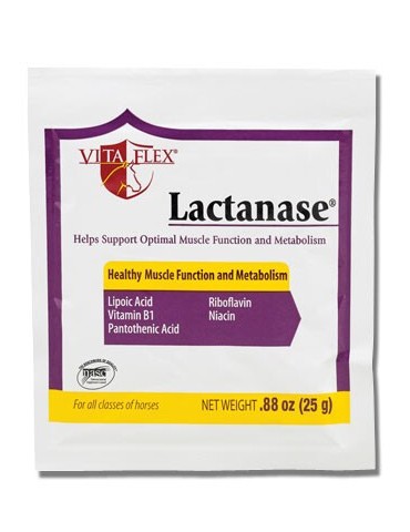 Lactanase Poudre 25 g –...