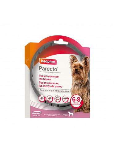 PARECTO® 1,25 g + 0,56 g –...