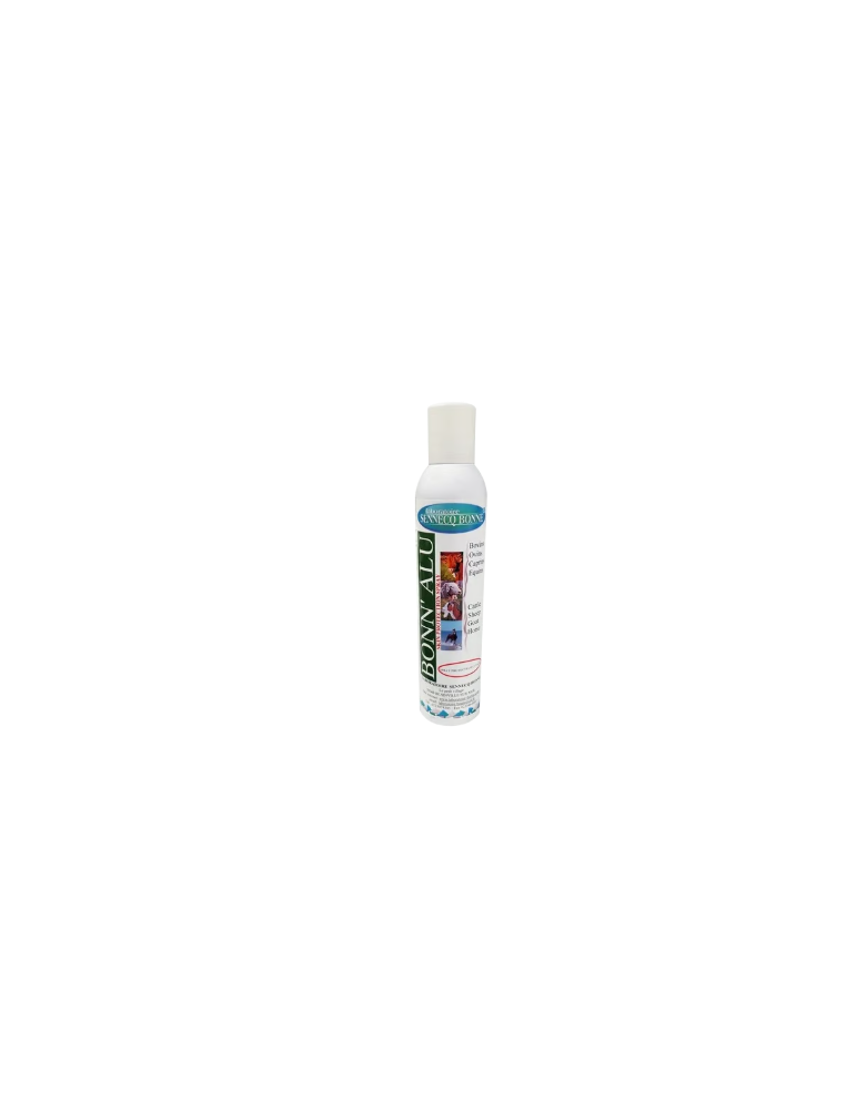 Spray Aluminium 300 ml SENNECQ