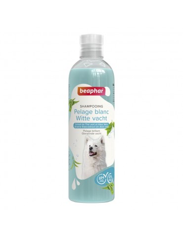 tube de shampoing beaphar essentiel pour pelage blanc 250 ml