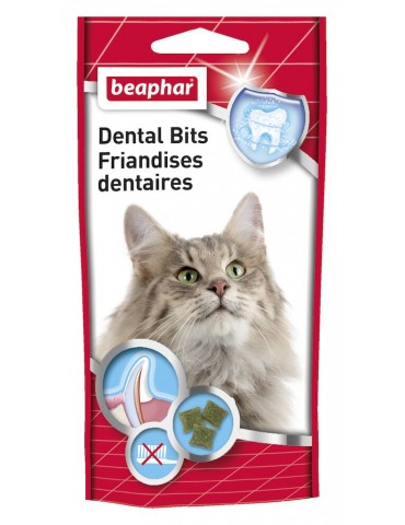 Sachet de friandises dentaires pour chats