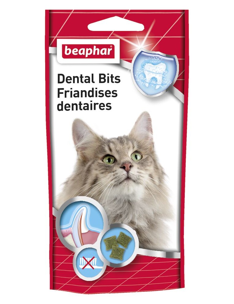 Sachet de friandises dentaires pour chats