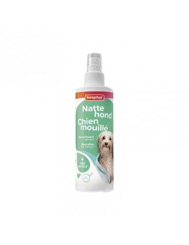 Shampoing pour chien mouillé