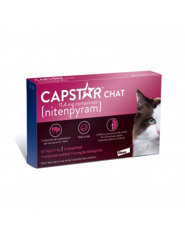 Capstar comprimés anti-puces pour chat