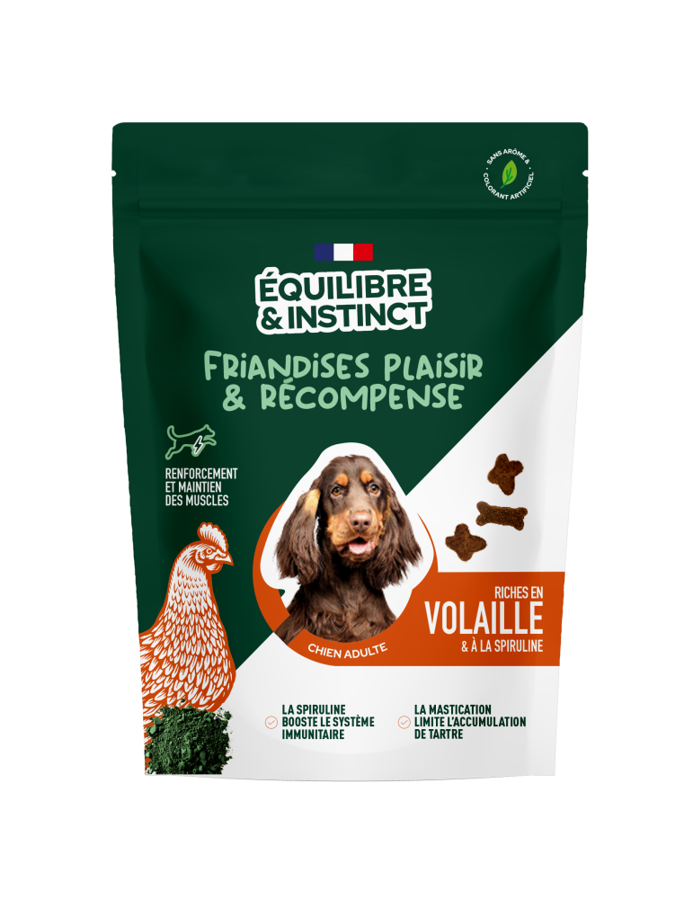 Sachet Equilibre & Instinct Friandises pour Chien