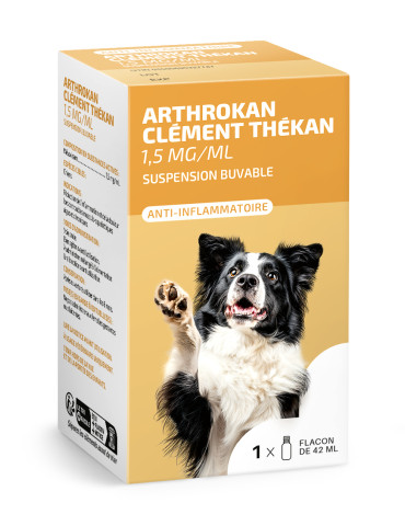 Arthrokan Clément Thékan...