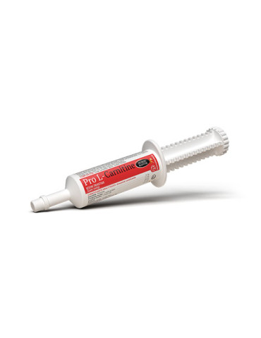 PRO L-CARNITINE –...