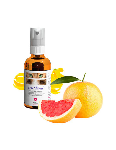 Miloa Zen Miloa 30 ml –...