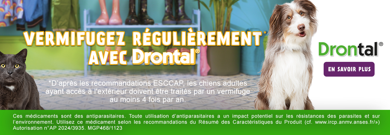 DRONTAL_1240x430.jpg
