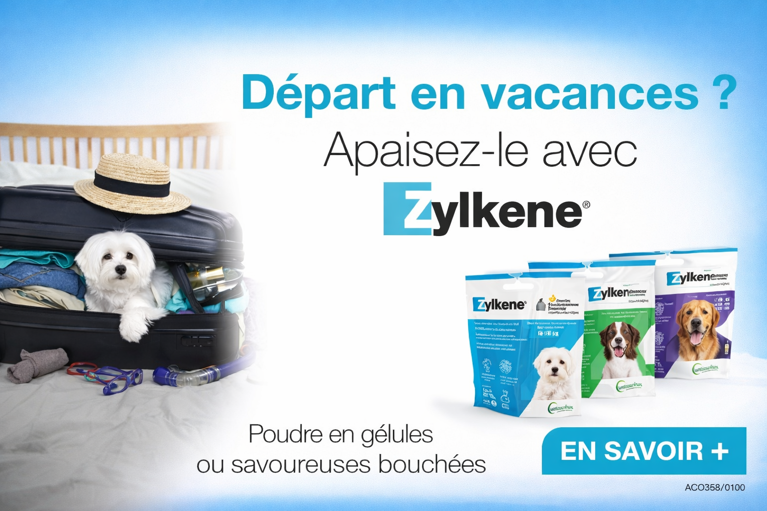 Chat qui ouvre sa bouche
