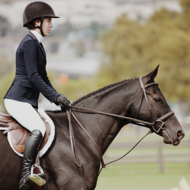 beau cheval avec son cavalier