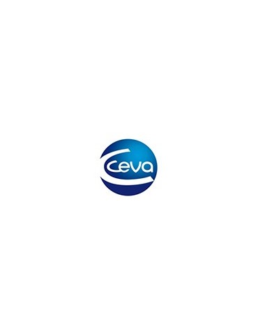 Ceva