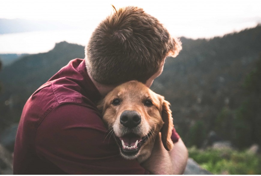 L'animal une vocation, son bien-être un engagement. 