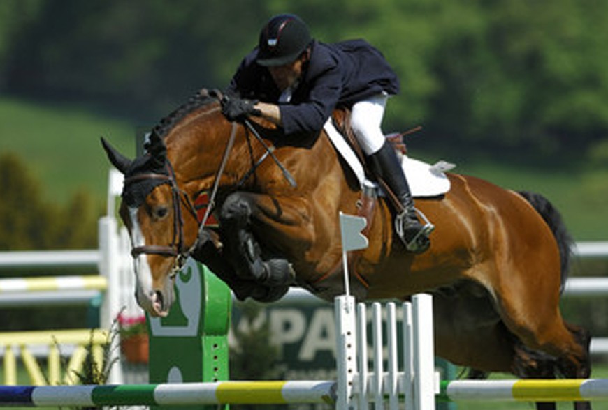 La nébulisation pour chevaux 