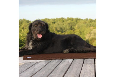 Offrez à votre compagnon le confort ultime avec le tapis SLEEPY DOG  – Promo exceptionnelle !