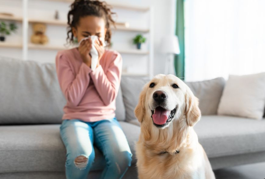 Vetriderm 350 ml : La solution contre les allergies aux animaux à poils