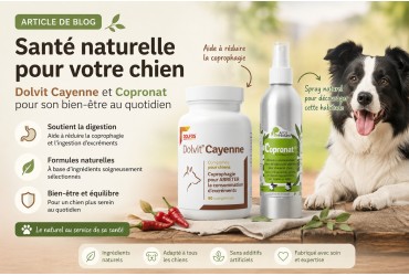 Coprophagie chez le chien : pourquoi mange-t-il ses selles et comment y remédier ?