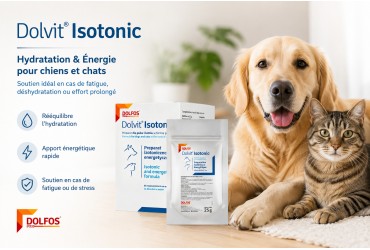 Fortes chaleurs : comment bien hydrater son chien ou son chat pour préserver sa santé ?