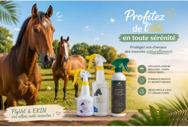L’été est là : protégez efficacement vos chevaux des insectes !
