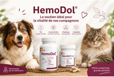 Anémie chez le chien et le chat : causes, symptômes et rôle d’Hemodol pour soutenir la production sanguine