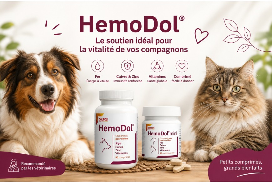 Anémie chez le chien et le chat : causes, symptômes et rôle d’Hemodol pour soutenir la production sanguine