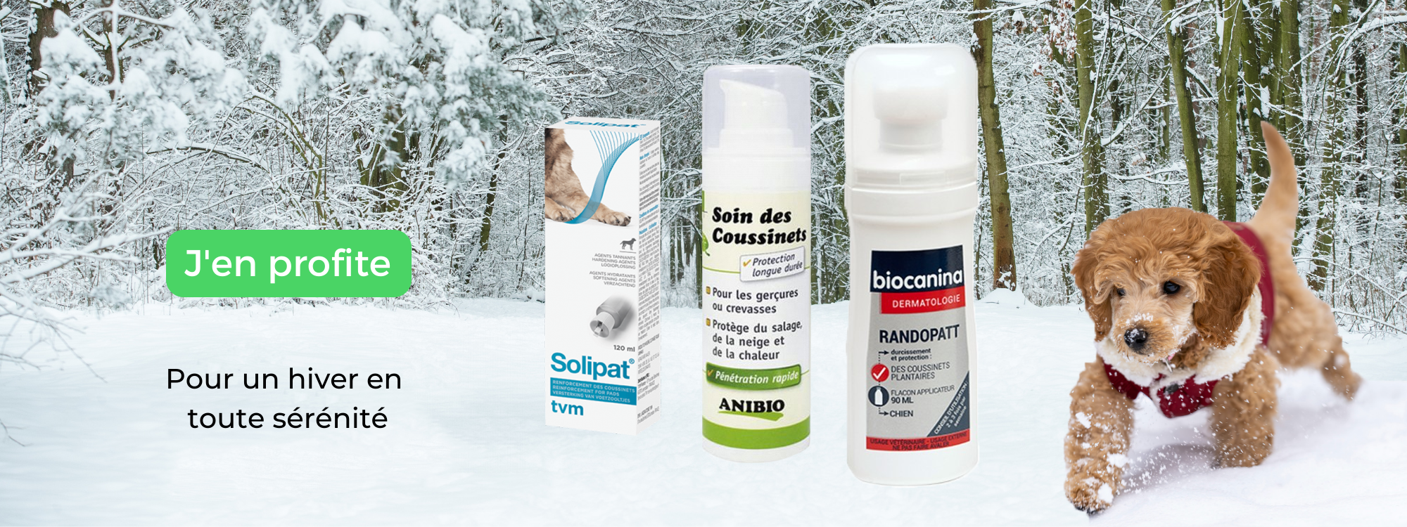 Soin des coussinets