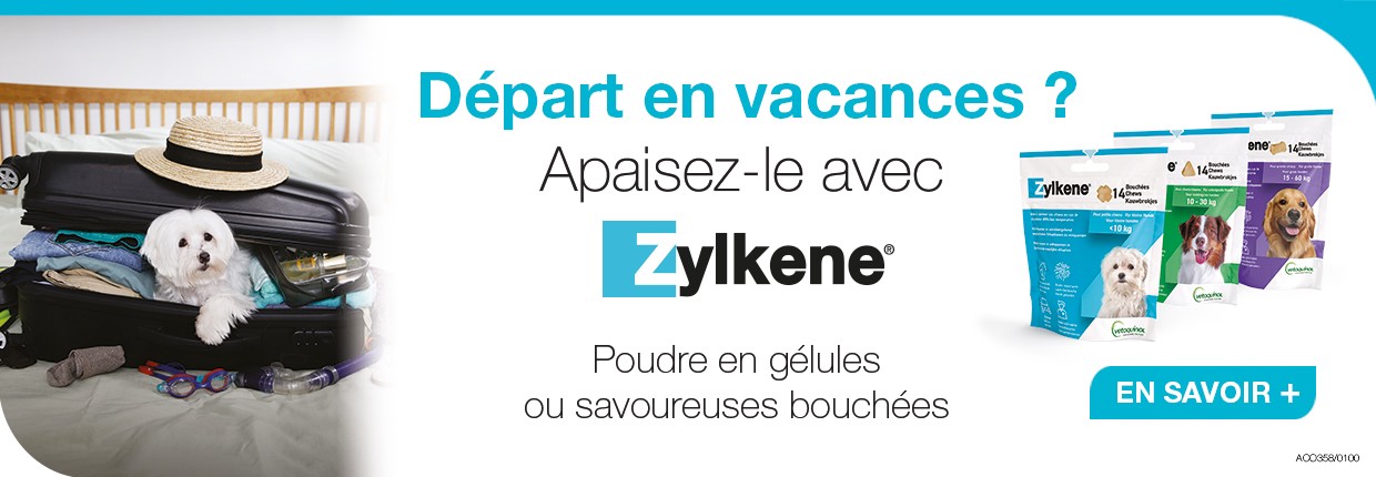Slider Zylkene